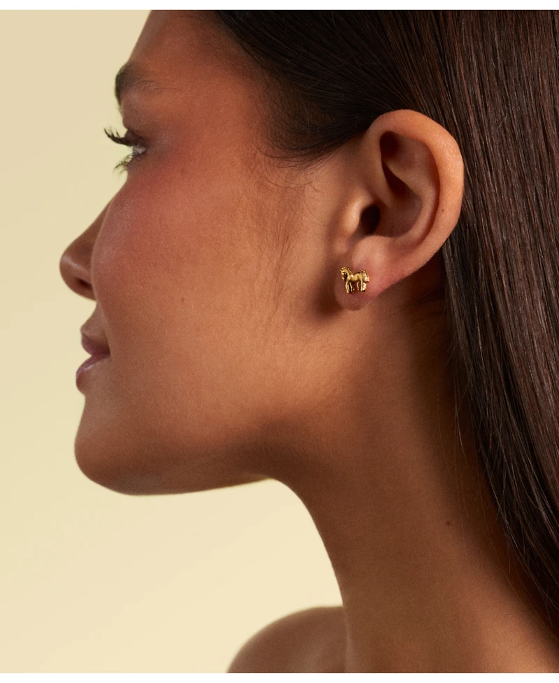 Hey Harper Horse Stud