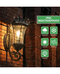 Flynama 27"(H) 1-Pack Outdoor Wall Lantern with Dusk to Dawn Sensor, Black Weatherrproof Exterior Light Fixture with Clear Bubble Glass