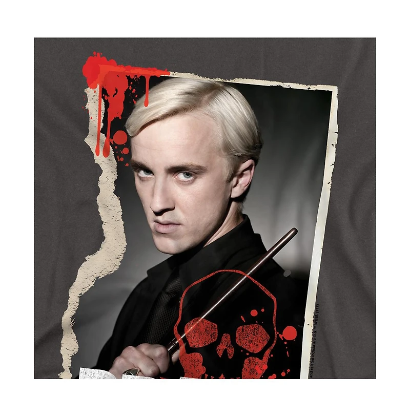 Harry Potter Big & Tall Draco Frame T Shirt