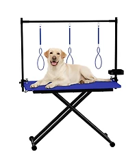 Aostirmotor 47" Professional Dog Grooming Table, X-Lift Foldable Adjustable Height with Nooses & Tool Organizer,Blue