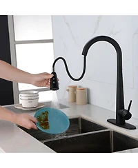 Rainsken Kitchen Faucet with Pull Down Sprayer, High Arc 360° Swivel Brushed Nickel, 3-Mode Spray Head