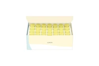 Albion Flarune Bright Charger