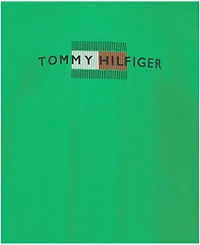 Tommy Hilfiger Boys' 8-20 Linear Flag Crewneck T-Shirt