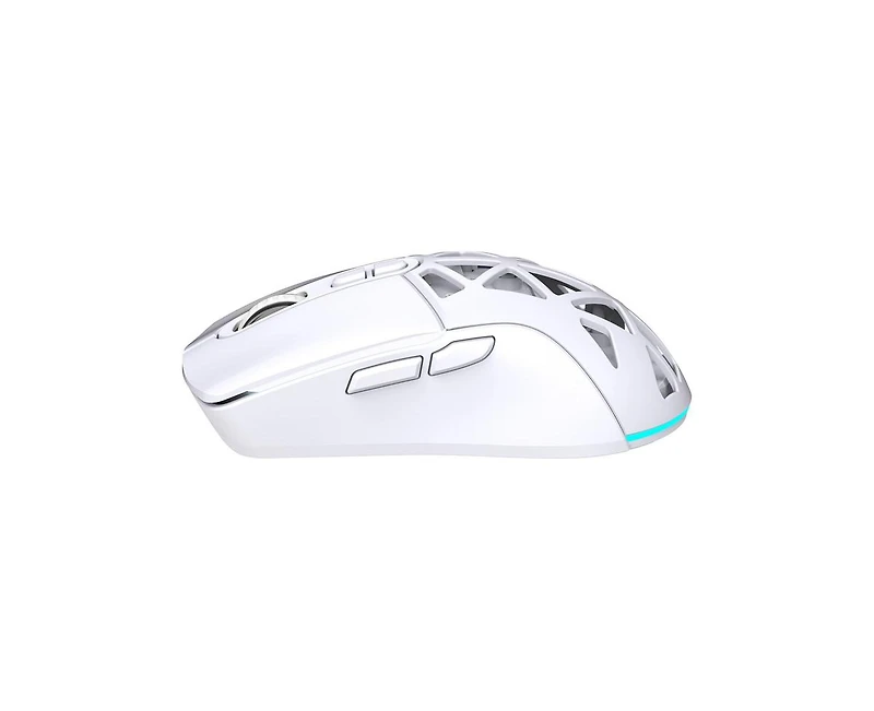 Risokeys Dual-Mode Wireless Gaming Mouse,Rgb Backlit Rechargeable 650mAh,4 Adjustable Dpi 800-4800,Silent Click