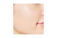 Paul & Joe Face Color Highlight (Refill) 01