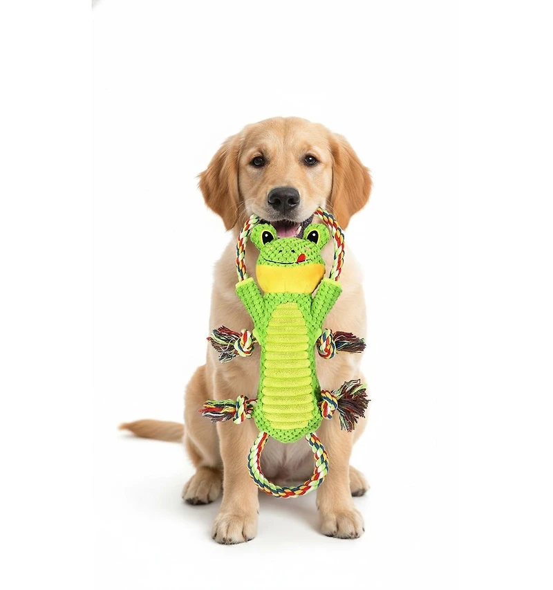 Aostirmotor Interactive Dog Toy with Crinkle Paper & Rope Knots, Plush Chew Toy for Mental Stimulation and Play