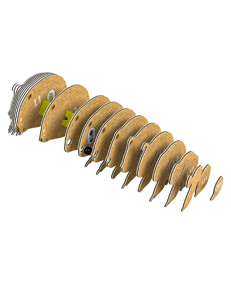 Eugy Wombat 3D Puzzle