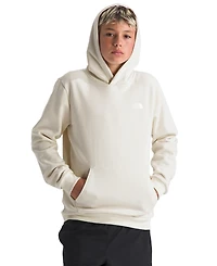 The North Face Girls' and Boys' 7-16 Evolution Box Nse Pull-On Hoodie