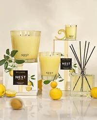 Nest New York Sunlit Yazu and Mandarin Classic Candle, 8.1 oz.