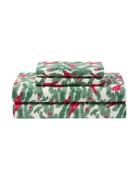 Hallmark Brushed Cotton Flannel -Pc. Sheet Set