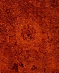 Adorn Hand Woven Rugs Fine Vibrance M1318 6' 2" x 9' 5" Area Rug