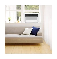 Friedrich CCF10B10AC 10,000 Btu Smart Window Air Conditioner