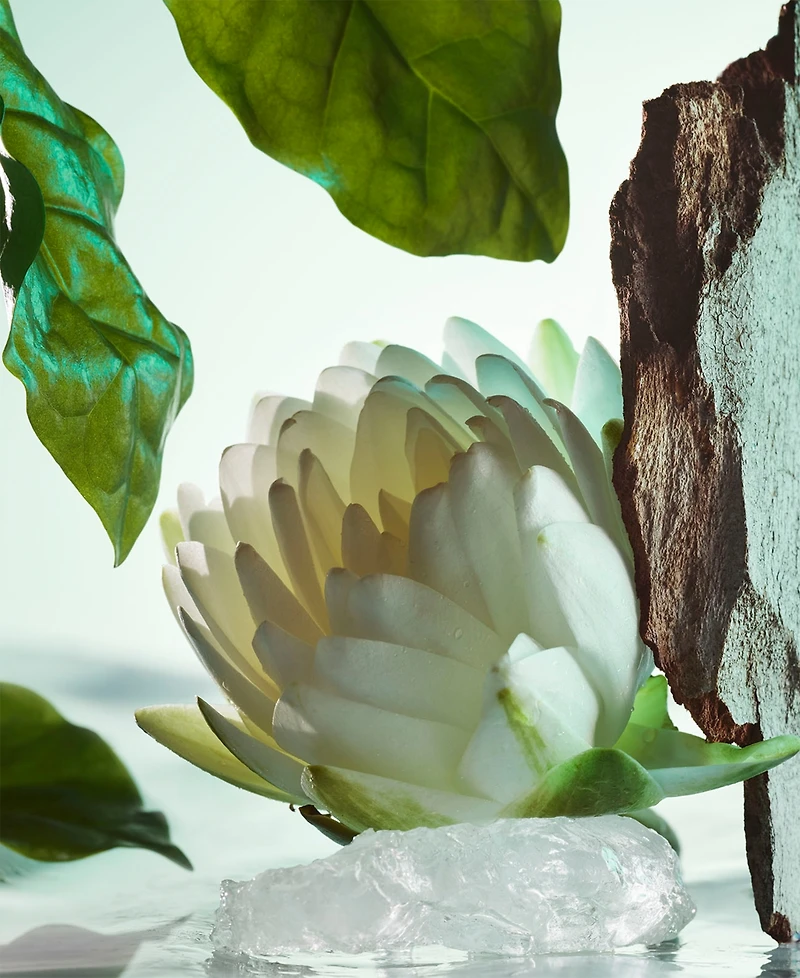 Bvlgari Pour Homme Eau De Toilette, 1.7 oz.