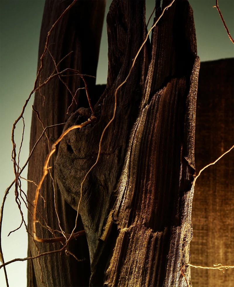 Bvlgari Man Wood Essence Parfum, 3.4 oz.