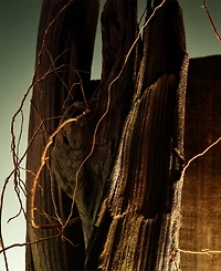 Bvlgari Man Wood Essence Parfum, 3.4 oz.