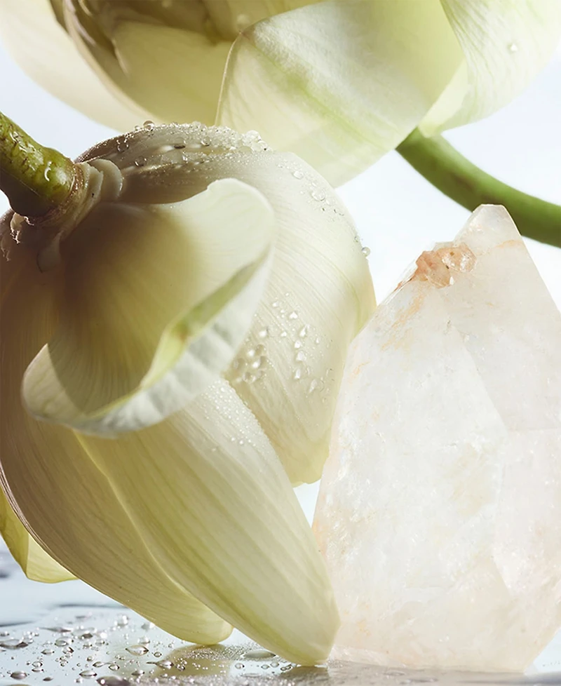 Bvlgari 2-Pc. Man Rain Essence Eau De Parfum Gift Set