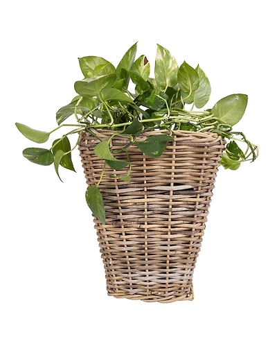 Artifacts Trading Company Square Tapered Planter with Plastic Insert