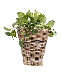 Artifacts Trading Company Square Tapered Planter with Plastic Insert