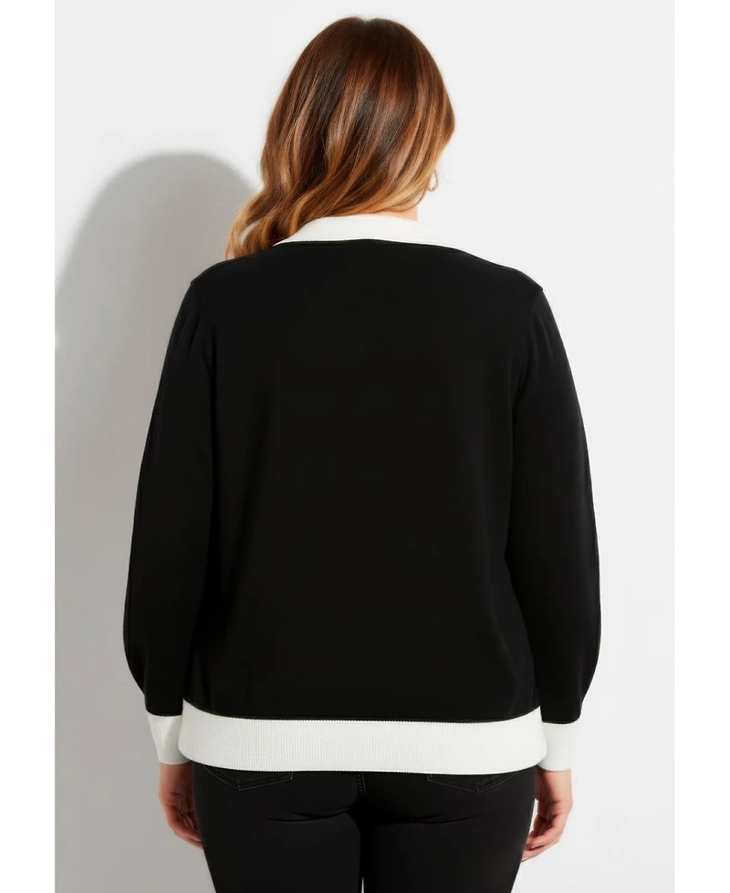 Avenue Plus Color Block Polo Sweater