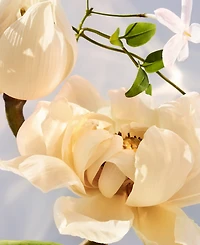 Bvlgari 2-Pc. Omnia Crystalline Eau De Parfum Gift Set