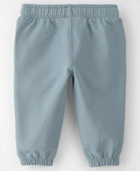 Carter's Baby Boys' or Girls' Little Planet Organic Cotton French Terry Sweatpants, 2-Pack