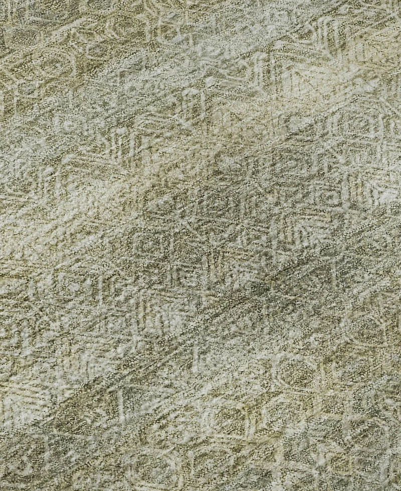 Addison Mayfield AMF2105 10'x14' Area Rug
