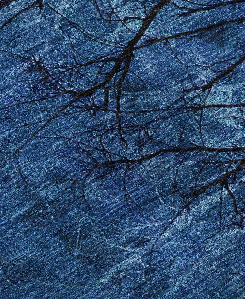 Addison Mayfield AMF2083 5'x7'6" Area Rug