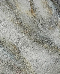 Addison Mayfield AMF2080 8'x10' Area Rug