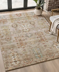 Addison Mayfield AMF2047 5'x7'6" Area Rug