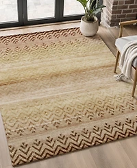 Addison Mayfield AMF2042 8'x10' Area Rug