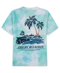 abercrombie kids Boys' Palm Springs T-Shirt