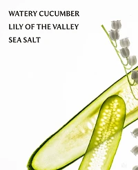 Touchland Gentle Mist Lily of the Valley Hand Sanitizer, 1 oz.