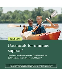 Gaia Herbs Olive Leaf - Traditional Immune Health Support - Immune System Supplement with Olive Leaf Extract and Oleuropein