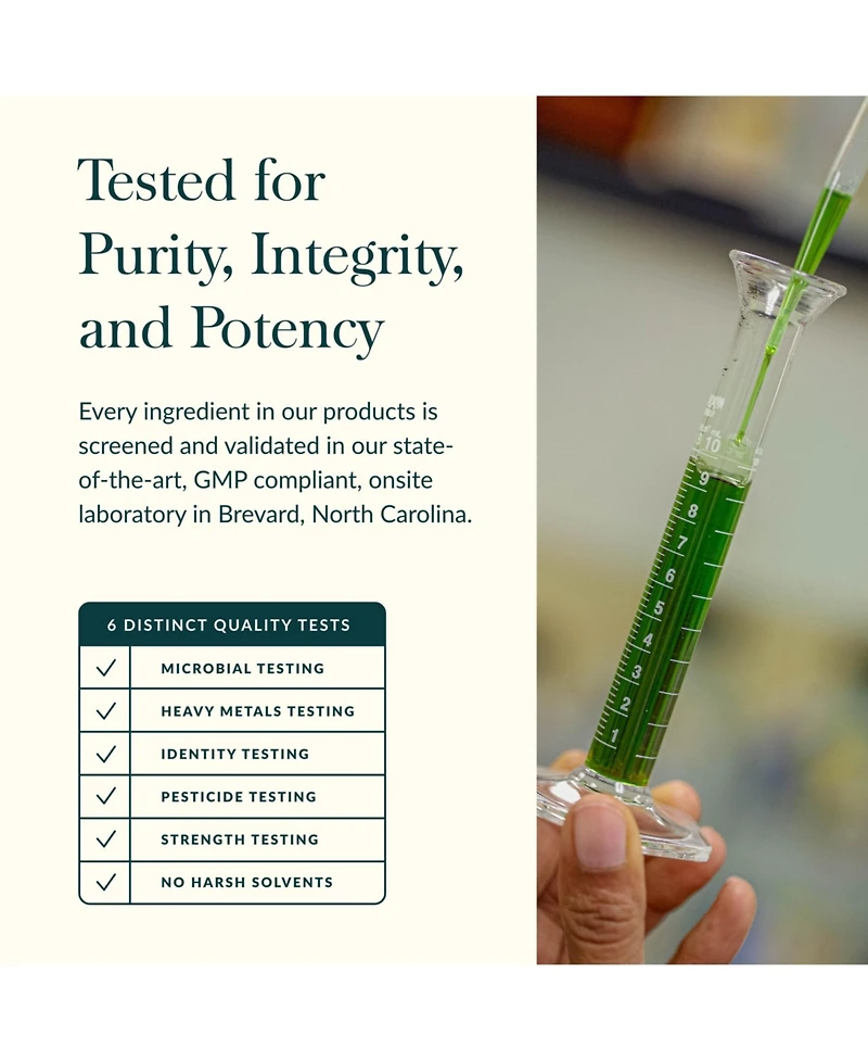 Gaia Herbs Plant Force Liquid Iron - Vegetarian Iron Supplement to Help Maintain Healthy Iron & Energy Levels