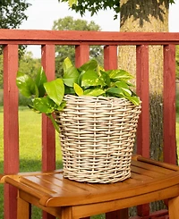 Artifacts Trading Company Round Planter with Plastic Insert