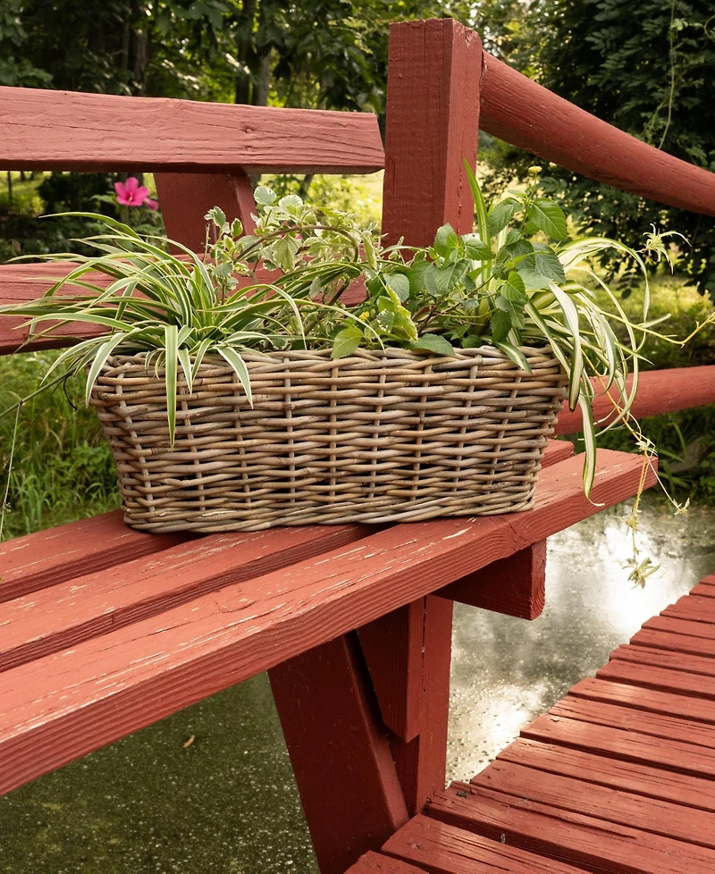 Rectangular Planter with Black Plastic Insert