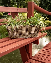 Rectangular Planter with Black Plastic Insert