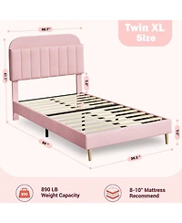 gaomon Upholstered Platform Bed Frame with Bookcase Headboard, Velvet Mattress Foundation,Heavy Duty Steel Support Legs.