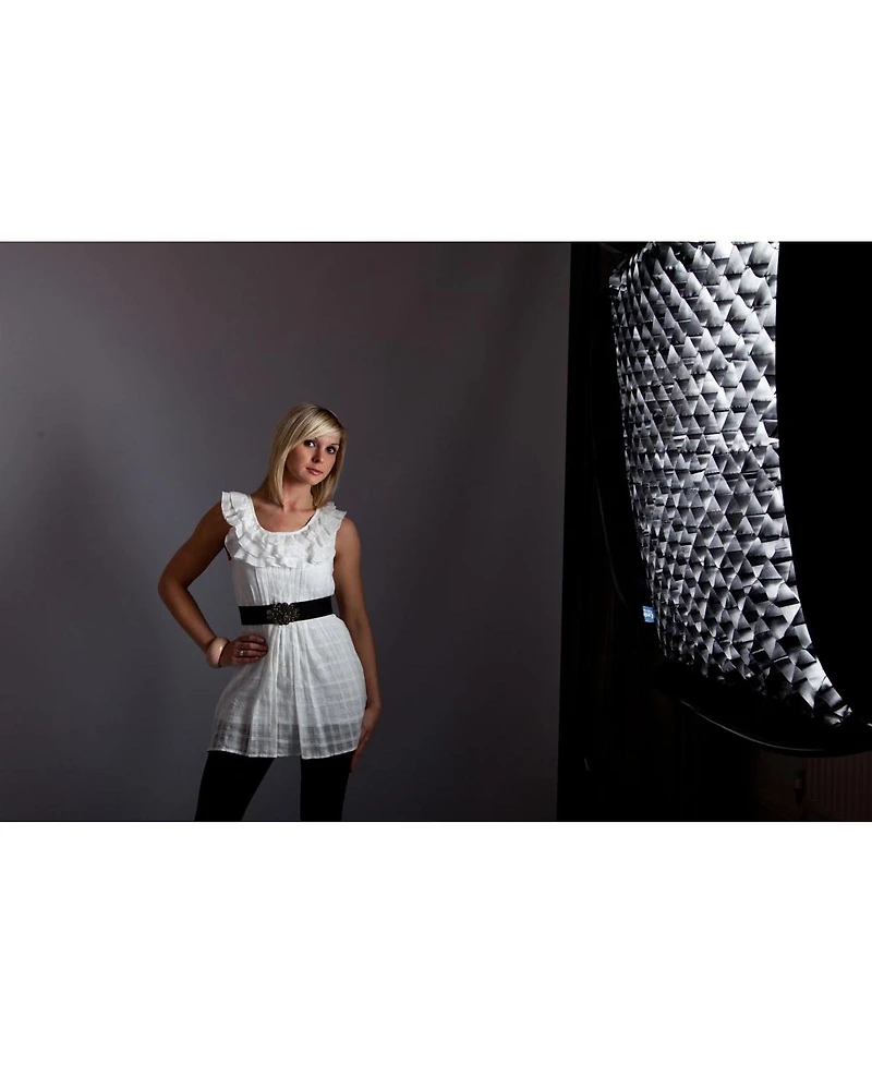 Manfrotto Medium Fabric Grid for Ezybox Ii Octa Softbox