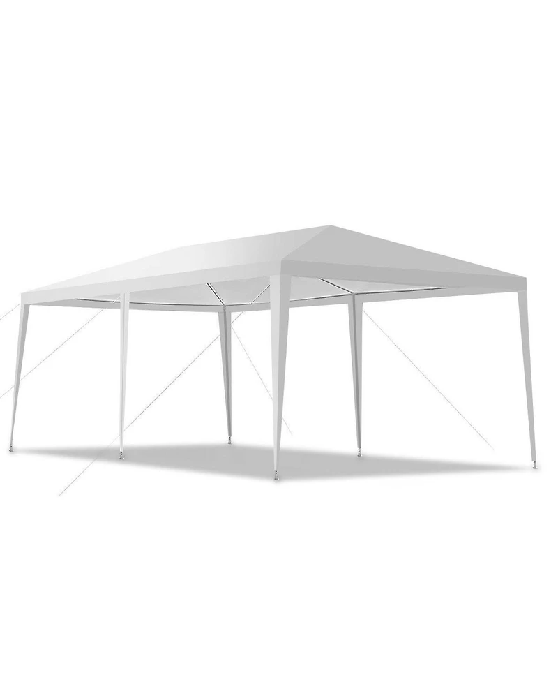 Outdoor 10'x20' Canopy Tent Heavy Duty Wedding Party Sidewalls Window Carry Bag
