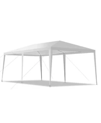 Outdoor 10'x20' Canopy Tent Heavy Duty Wedding Party Sidewalls Window Carry Bag