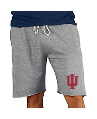 Concepts Sport Men's Gray Indiana Hoosiers Mainstream Terry Shorts