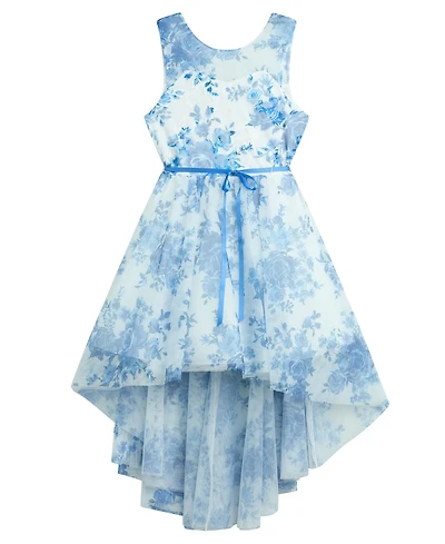 Bcx Girls' 7-16 Sleeveless Floral Embroidered Mesh Dress