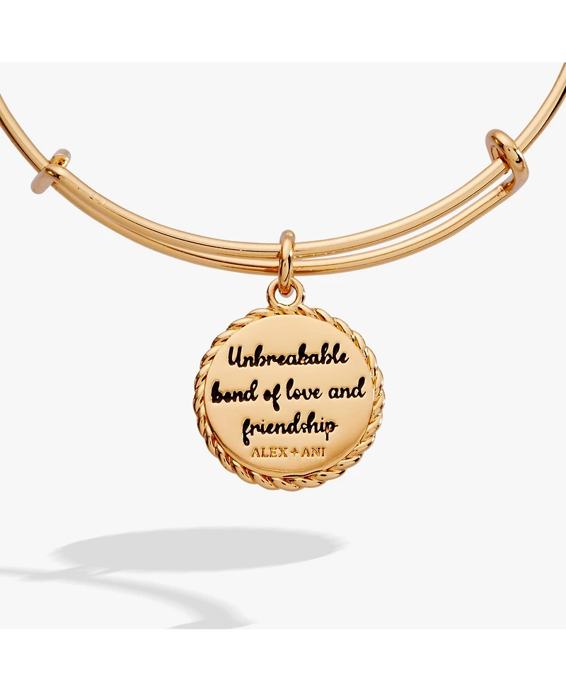 Alex And Ani Niece 'Unbreakable Bond Of Love Friendship' Charm Bangle