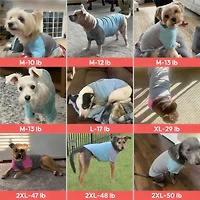 Aronkl 2-Pack Lightweight Athletic Dog T-Shirt with Reflective Label for Outdoor Use