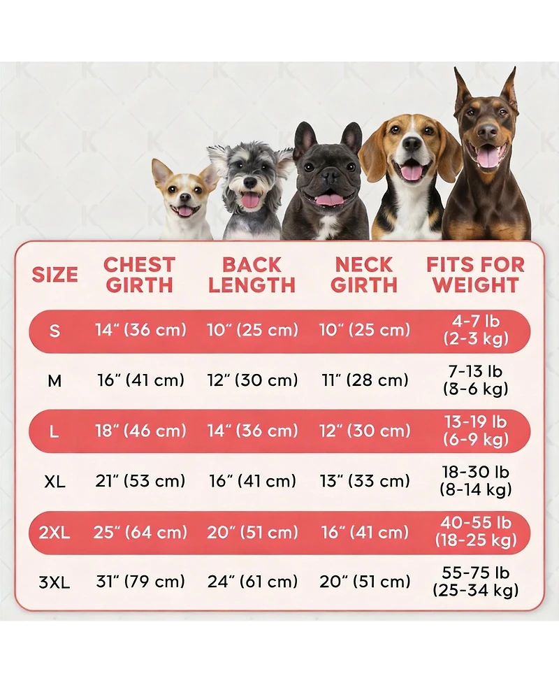 Aronkl 2-Pack Lightweight Athletic Dog T-Shirt with Reflective Label for Outdoor Use