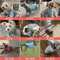 Aronkl 2-Pack Lightweight Athletic Dog T-Shirt with Reflective Label for Outdoor Use