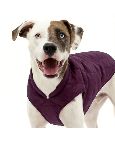 Aronkl Loft Dog Jacket: Insulated, Reversible, Water-Resistant, Reflective, Adventure Ready