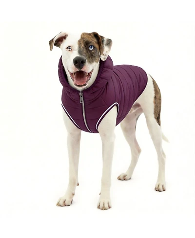 Aronkl Loft Dog Jacket: Insulated, Reversible, Water-Resistant, Reflective, Adventure Ready