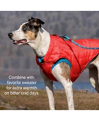 Aronkl Loft Dog Jacket: Insulated, Reversible, Water-Resistant, Reflective, Adventure Ready